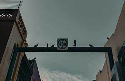 紀(jì)律處分條例心得體會(huì)