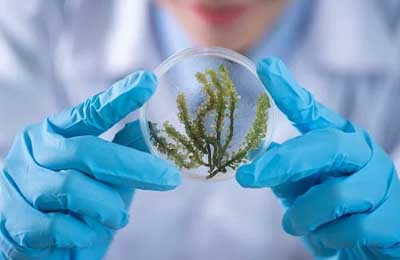 icu醫生進修匯報