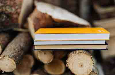 區縣資源招標監管意見