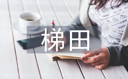 梯田產(chǎn)業(yè)路建設工作措施