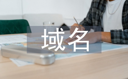 域名法律保護思考論文