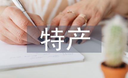 傳播學下特產外宣英譯效果研究