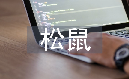 關(guān)于松鼠的資料