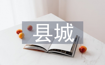 縣城農貿市場整治會發言