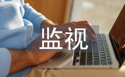 行政執法監視法律論文