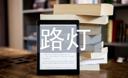 民政局路燈節(jié)電改造工程實(shí)施意見