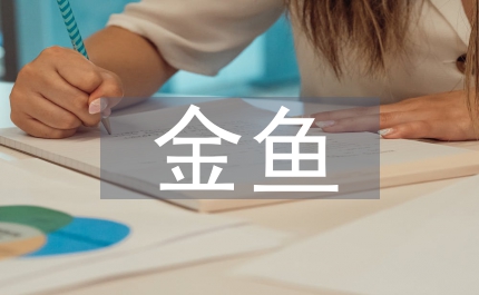 金魚教案