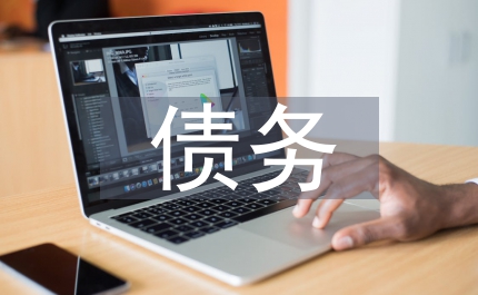 防范化解債務風險情況匯報