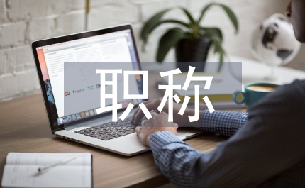 職稱見習期工作總結