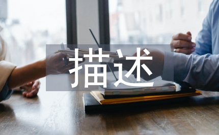 線性描述法下財(cái)務(wù)報(bào)表淺析