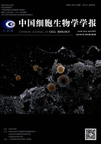 中國細(xì)胞生物學(xué)學(xué)報雜志