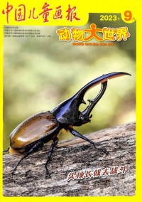 VOGUE服飾與美容