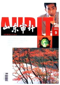 山東審計雜志