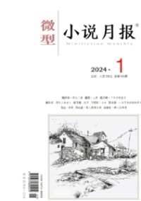 微型小說月報雜志